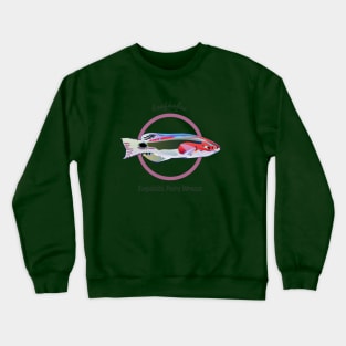 Exquisite Fairy Wrasse Crewneck Sweatshirt